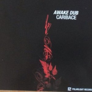 Awake Dub