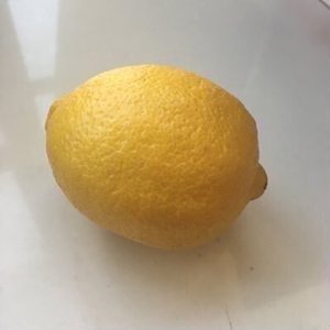 lemon sellout 的头像