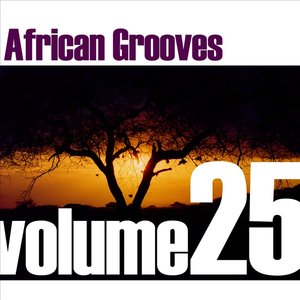 African Grooves Vol.25