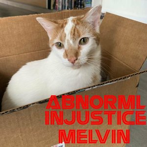 Melvin