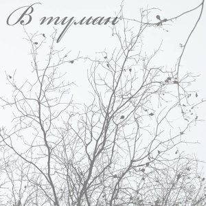 В туман