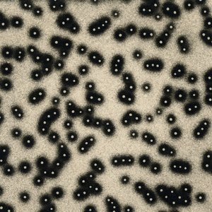 K. Leimer / Marc Barreca 的头像