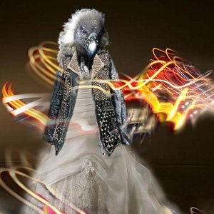 和泉希洋志 的头像