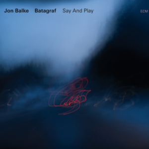Say And Play cover