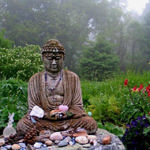 Avatar for Insight Meditation