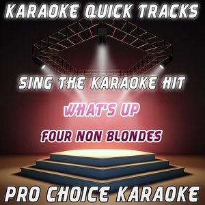 Karaoke Quick Tracks : What's Up (Karaoke Version) (Originally Performed By 4 Non Blondes)