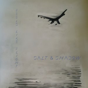Feels Like Flight