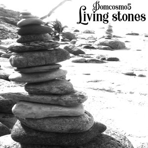 Image for 'Living stones'
