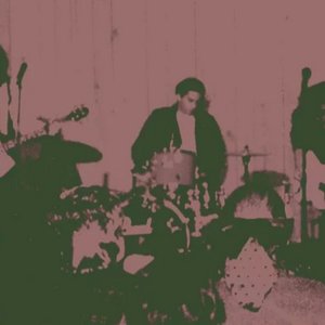 Morellas Forest 1988 的头像