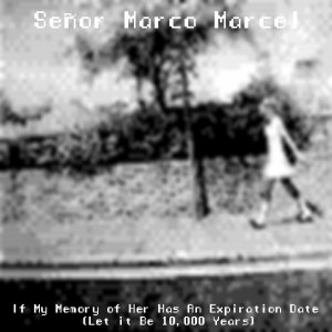 “If My Memory of Her Has An Expiration Date (Let It Be 10,000 Years)”的封面