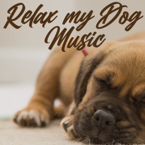 Avatar for Relax My Dog Music