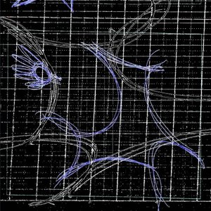 50dmg [Explicit]