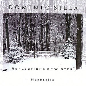 Reflections of Winter