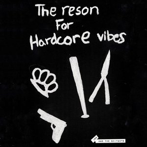 The Reson for Hardcore Vibes