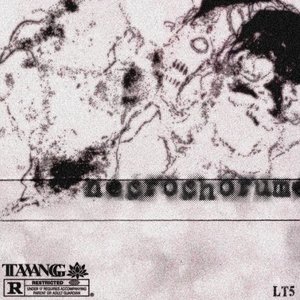 Necrochorume