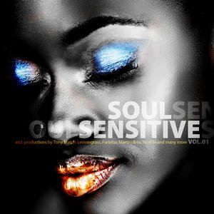Soul Sensitive Vol.1
