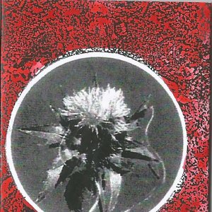 Adelaide Tour Cassette