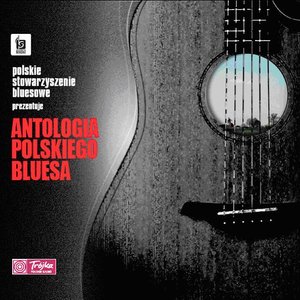 Awatar dla Antologia Polskiego Bluesa