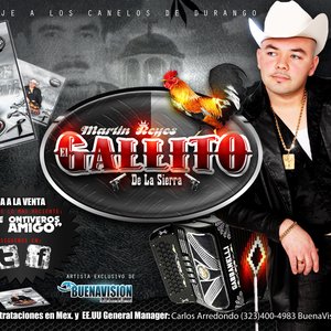 El Gallito De La Sierra 的头像