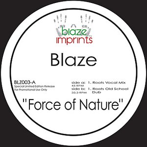 Force of Nature (The Blaze Mixes)