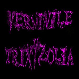 Avatar for Verminile Trixyzolia