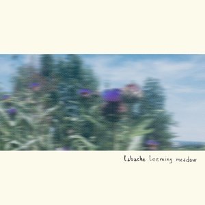Teeming Meadow