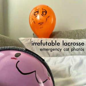 Emergency Cat Photos (Come Home Mittens!)