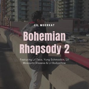 Bohemian Rhapsody 2 (feat. Lil Bodypillow, Lil Mosquito Disease, Lil Taco & Yung Schmoobin) [Explicit]
