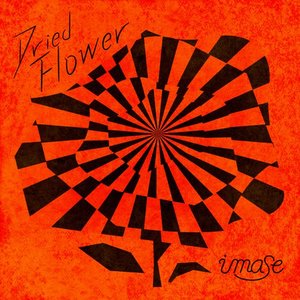 Dried Flower
