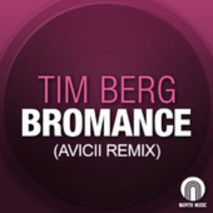 Bromance (Avicii Remix) - Single