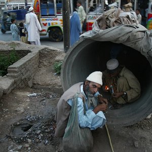 Avatar de Pakistani Opium Plantation