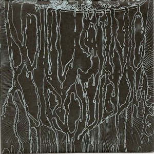 Soil Sing Through Me 的头像