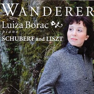 Schubert / Liszt: Wanderer