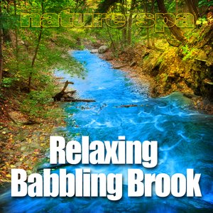 Relaxing Babbling Brook