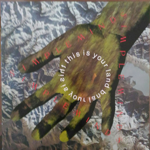 Simple Minds - This Is Your Land - Zortam Music