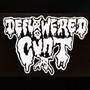 Deflowered Cunt 的头像