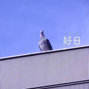 Koujitsu