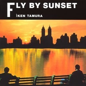 Fly By Sunset