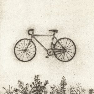 Bicycle - Single