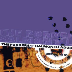 Waiting For Us (remixed by Salmonella Dub)