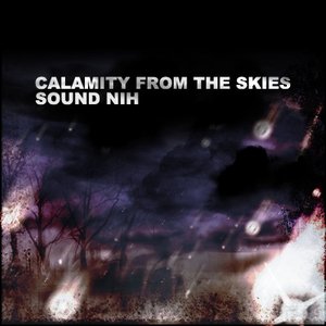 Image for 'Sound NIH'