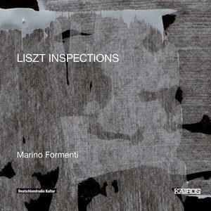 “Liszt Inspections”的封面