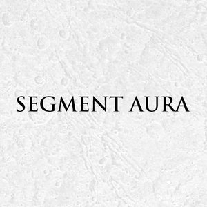 Аватар для Segment Aura