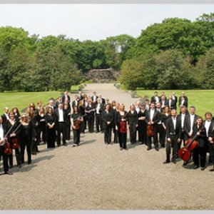 National Symphony Orchestra of Ireland 的头像