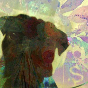 сборник для бабушки в машину