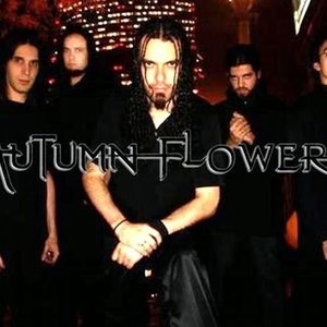 Autumn Flowers 的头像