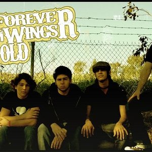 Forever Wings Fold のアバター