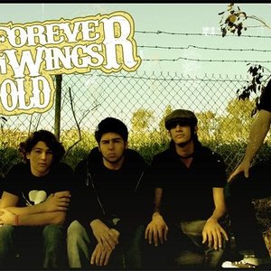 Изображение для 'Forever Wings Fold'