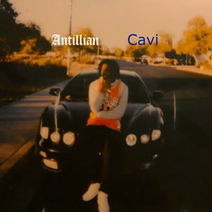Cavi
