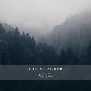 Forest Mirror